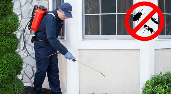Uluborlu Tahtakurusu İlaçlama böcek ilaçlama ve haşere kontrolü — ilaclama-tr.com